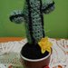 Amigurumi, cactus, pianta grassa ad uncinetto con fiori gialli