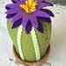Cactus di feltro con fiore viola
