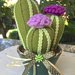 composizione di tre cactus in feltro con fiori lilla, fucsia e viola
