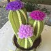composizione di tre cactus in feltro con fiori lilla, fucsia e viola