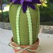 Cactus di feltro con fiore viola
