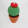 Cactus a palla con fiore rosso
