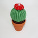 Cactus a palla con fiore rosso