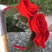 Cerchietto per capelli con tre rose rosse in feltro