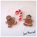 biscotti decorati Mr.& Mrs. Ginger