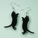 INSERZIONE RISERVATA PER FAUSTA - coppia orecchini gattini in plexiglass
