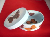 scatola farfalle