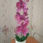 ORCHIDEA. UN STUPENDO FIORE REALISTICO.