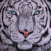 Quadro dipinto tigre siberiana bianca acrilico su tela 