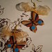 Orecchini Butterfly - Autumn