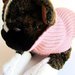 Pink Ladies, pullover cappottino per cani ( taglia XS ) in pura lana merinos rosa antico