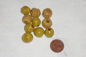 Set 10 perle in ceramica gialle