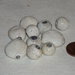 Set 10 perle in ceramica Raku bianche