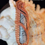 Ciondolo wirewrapped in Rame con Agata Fossile 