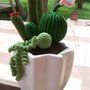 Cactus amigurumi in vasetto di ceramica