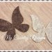 Set farfalle fustellate