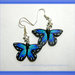 Orecchini farfalla blu