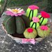 Composizione di cactus in feltro in cestino vimini con fiori rosa e fucsia