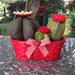 Composizione di Cactus in feltro in cestino di vimini rosso