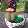 Composizione di cactus di feltro in cestino di vimini rotondo, con fiori di feltro rosa e fucsia