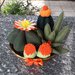 composizione di cactus di feltro in cestino di vimini marrone, con fiori di feltro arancioni