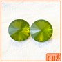 2 Rivoli Cabochon in resina 14mm