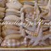BOMBONIERE in stile marino - cavalluccio marino - stella marina - pesciolini - polipi - conchiglia - lumaca IDEALI PER OGNI OCCASIONE BATTESIMO COMUNIONE CRESIMA NASCITA MATRIMONIO