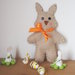 Decorazione di Pasqua.Bomboniera per bimbi o dono per la cameretta.Coniglio in feltro dentro una custodia,una (maxicarota in feltro).