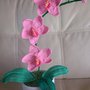 orchidee all'uncinetto da 10cm