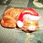 gattino natalino che dorme 