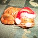 gattino natalino che dorme 