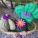 Composizione di quattro cactus con fiori viola e rosa