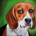 Dipinto quadro cane beagle olio su tela 
