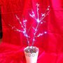 Albero twinkle con luci a batteria 2918