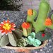 Composizione di cactus di feltro con fiori arancione