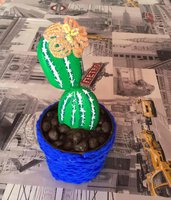 cactus di pietra piccolo 20 cm