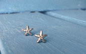 Orecchini stella marina