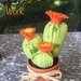 Vaso di terracotta con composizione di tre cactus di feltro