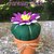 vaso di terracotta con cactus di feltro e fiore bianco e viola