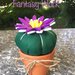 vaso di terracotta con cactus di feltro e fiore bianco e viola