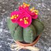 Vaso di terracotta con cactus di feltro con fiori fucsia