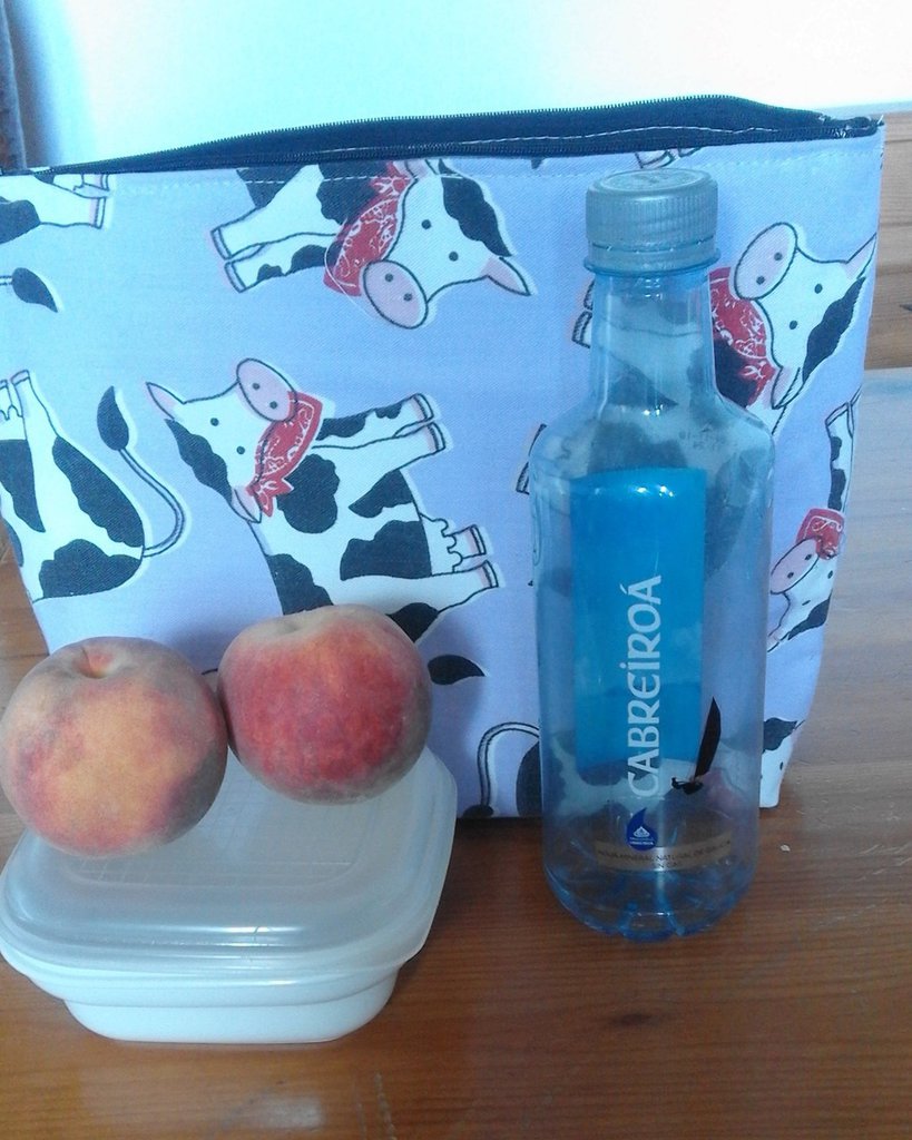 lunch bag borsa porta pranzo - Donna - Borse - di bandullera | su MissHobby
