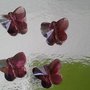 Perlina farfalla cristallo ametista
