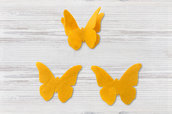 Fustellato farfalla pannolenci