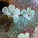 Fiore o rosetta, ricambio per lampadari di Venini,  in vetro soffiato di Murano