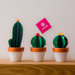 Cactus carta - Set da 3 piantine