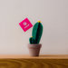 Cactus carta - Set da 3 piantine