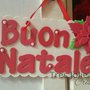 FESTONE GHIRLANDA FUORIPORTA ADDOBBO NATALE ESTERNO E INTERNO stella di natale 