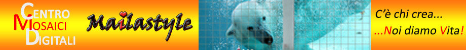 Store_banner_11402_normal
