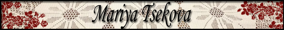 Store_banner_12039_normal